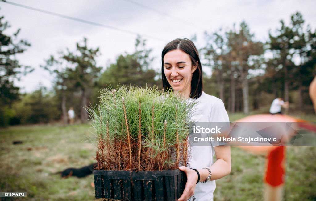 31a2d1277f00919218bc11e13d268613?width=208