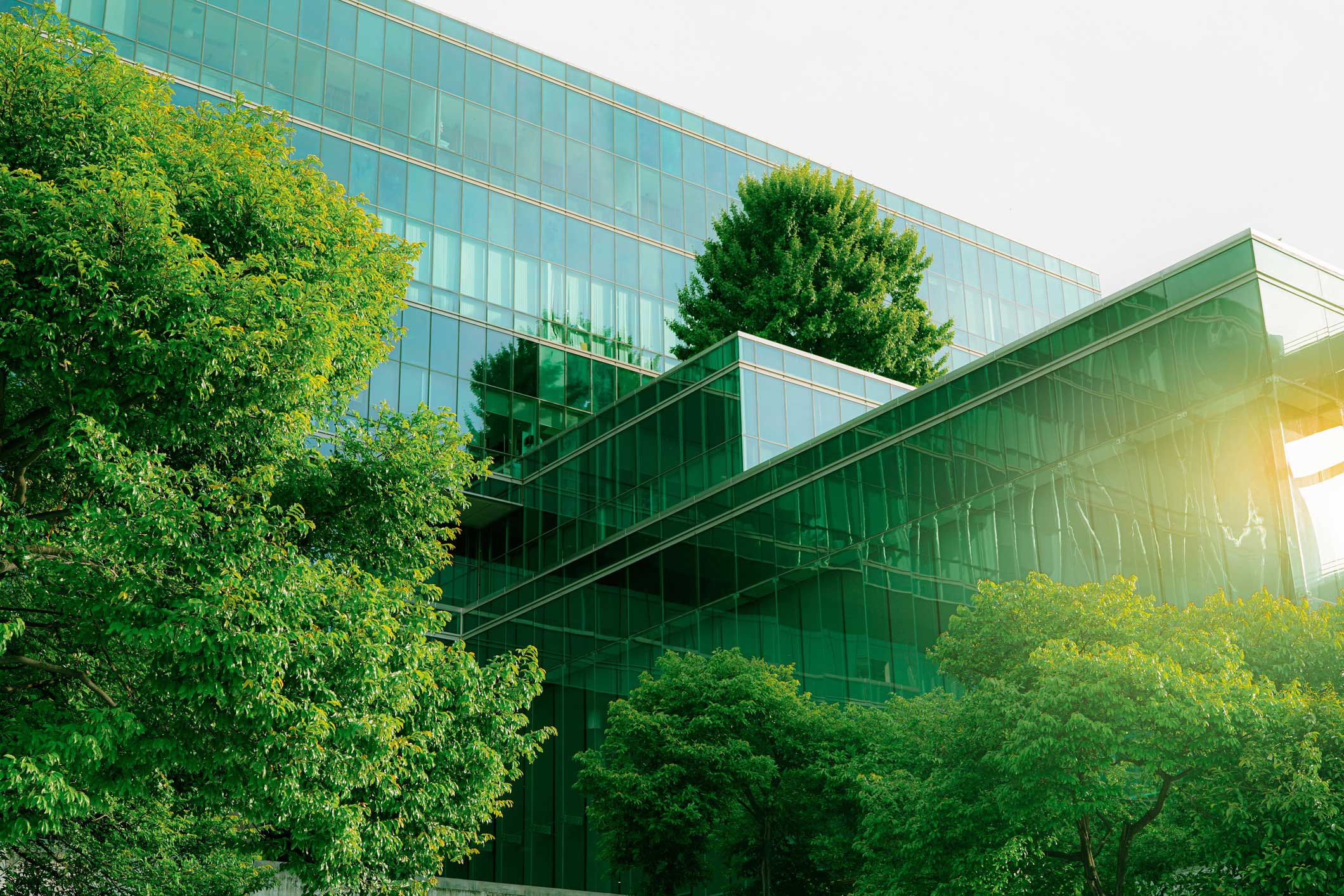 8d057529f7d4bb7bde86f27c3c64e6c6